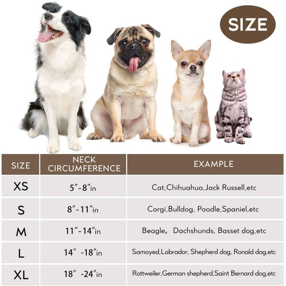 XS Midog inflatable collar protective cone - Picture 5 of 5